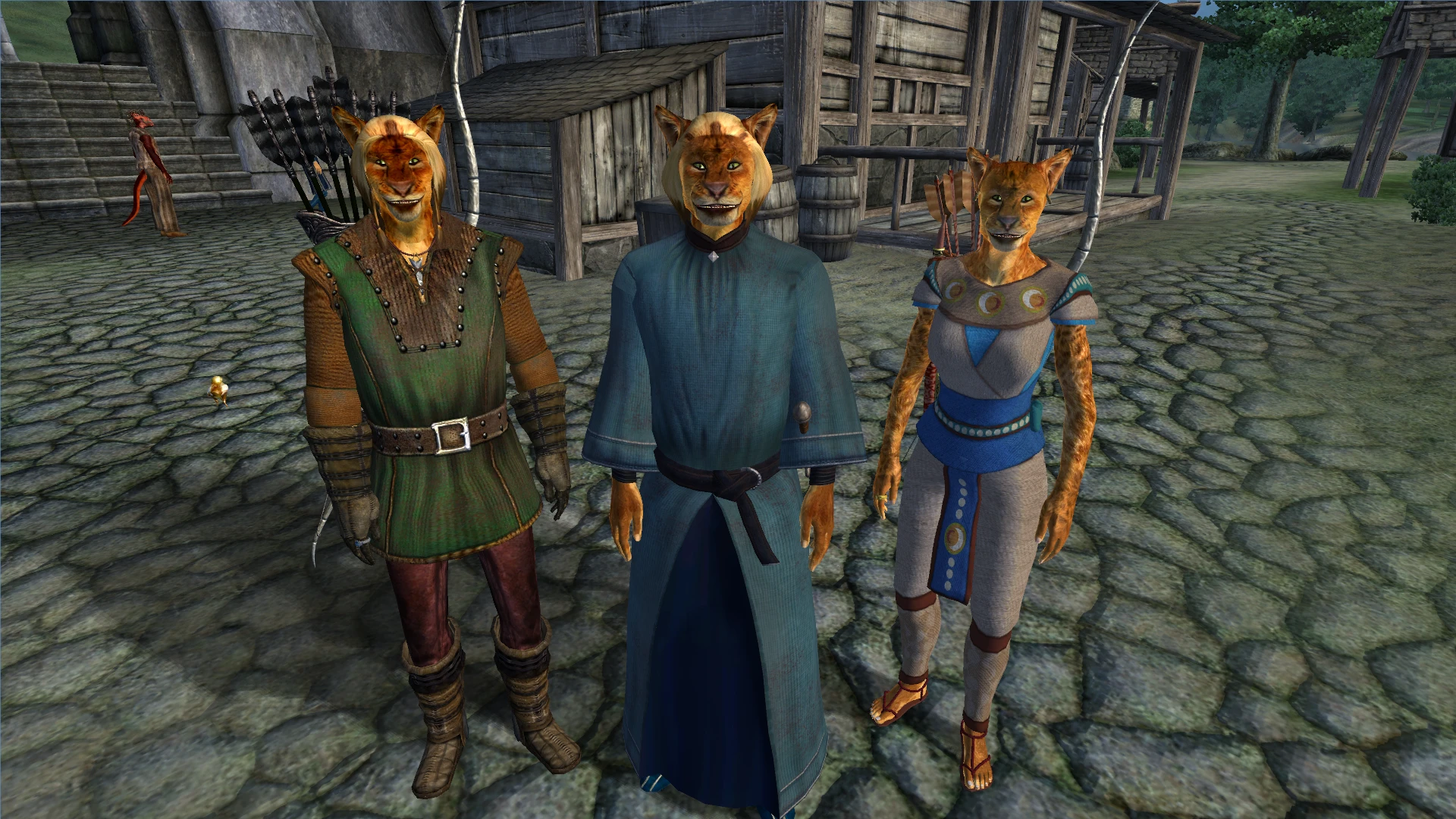 The Best Khajiit Followers Mods For The Elder Scrolls Iv At Oblivion