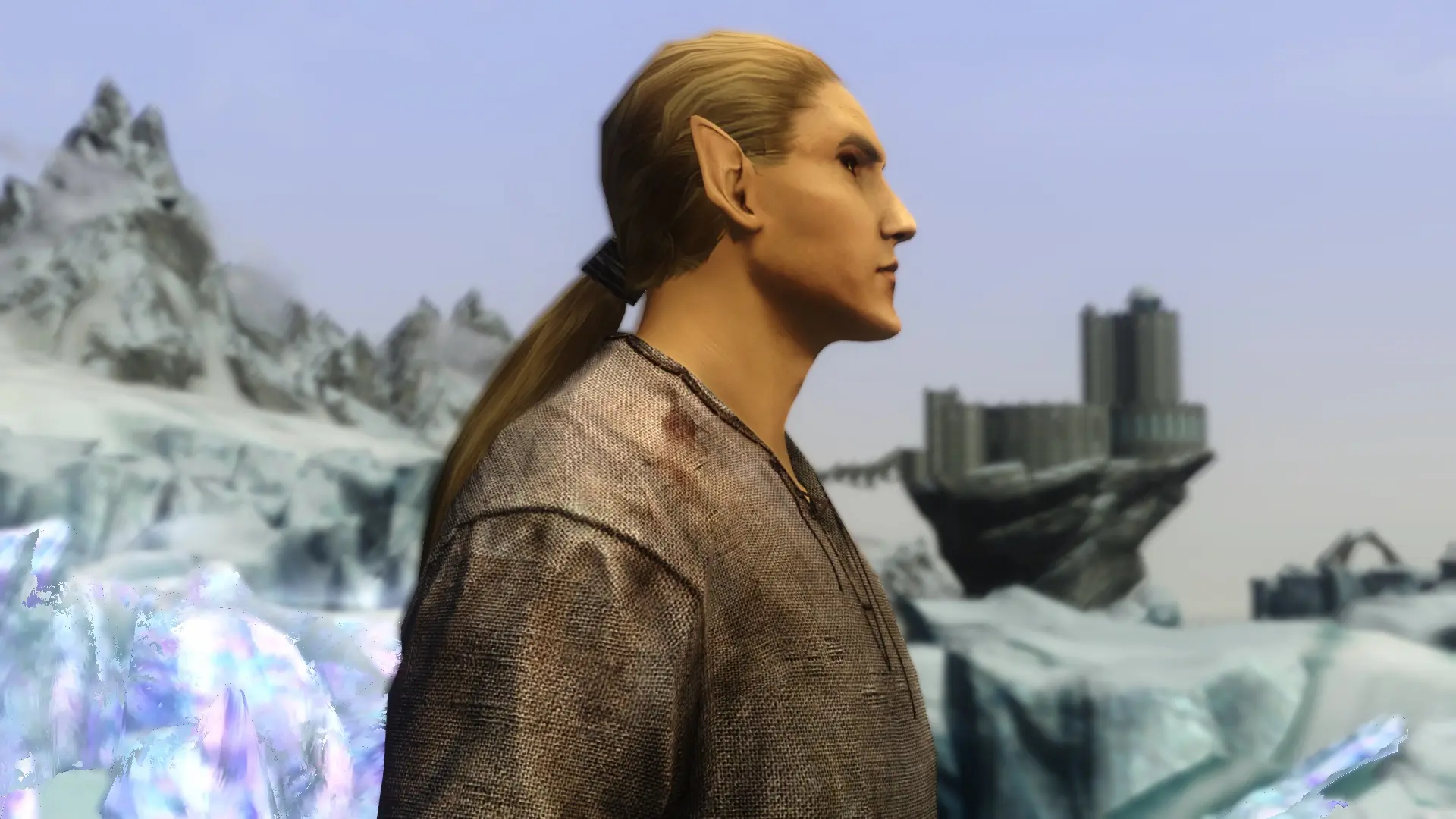 High Elf At Skyrim Nexus Mods And Community