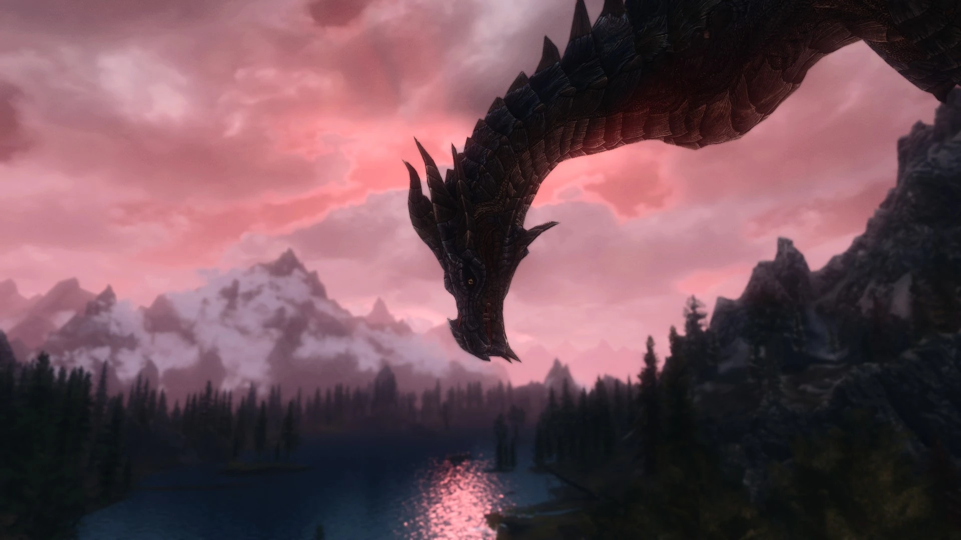 Skyrim dragon fuck quest compilations