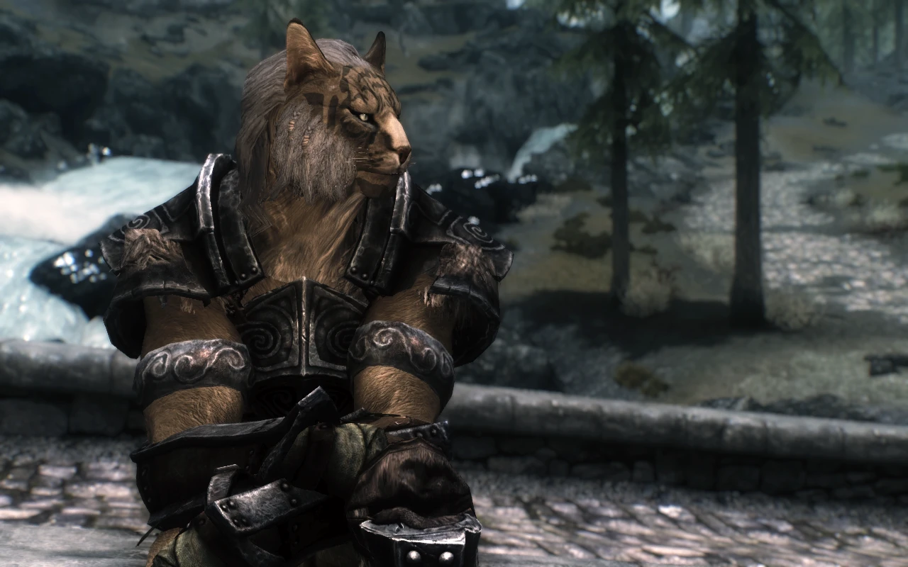 Just Khajiits At Skyrim Nexus Mods And Community