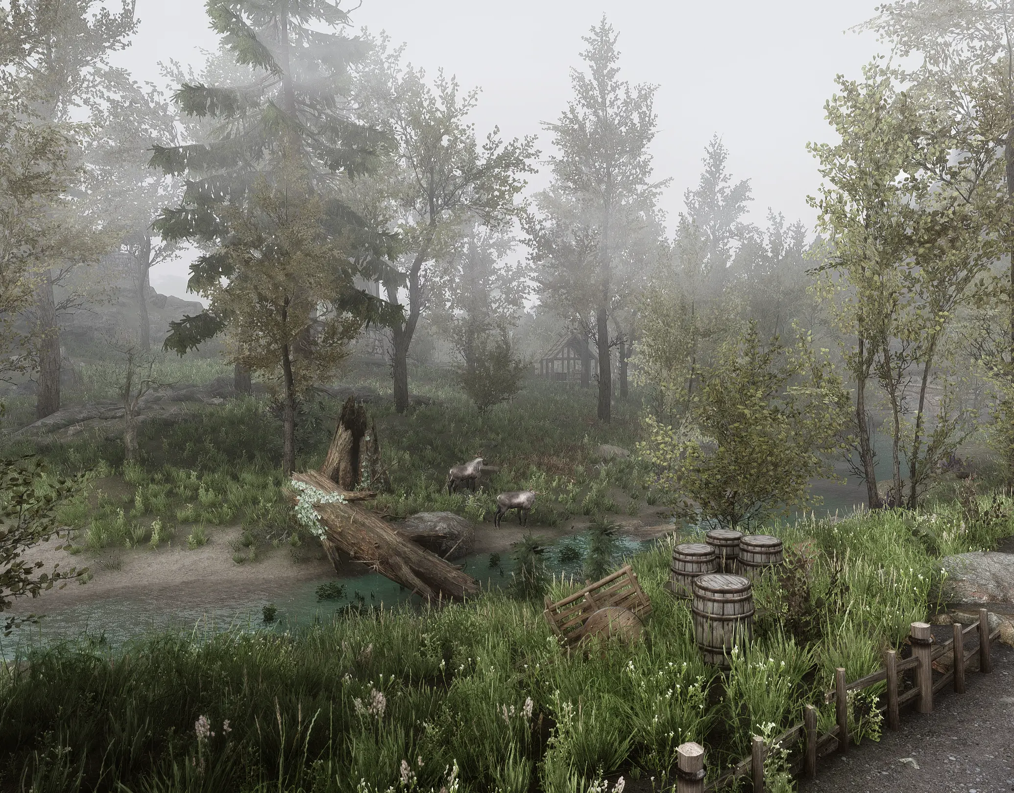 Foggy At Skyrim Nexus Mods And Community