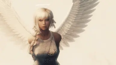 Angel At Skyrim Nexus Mods And Community