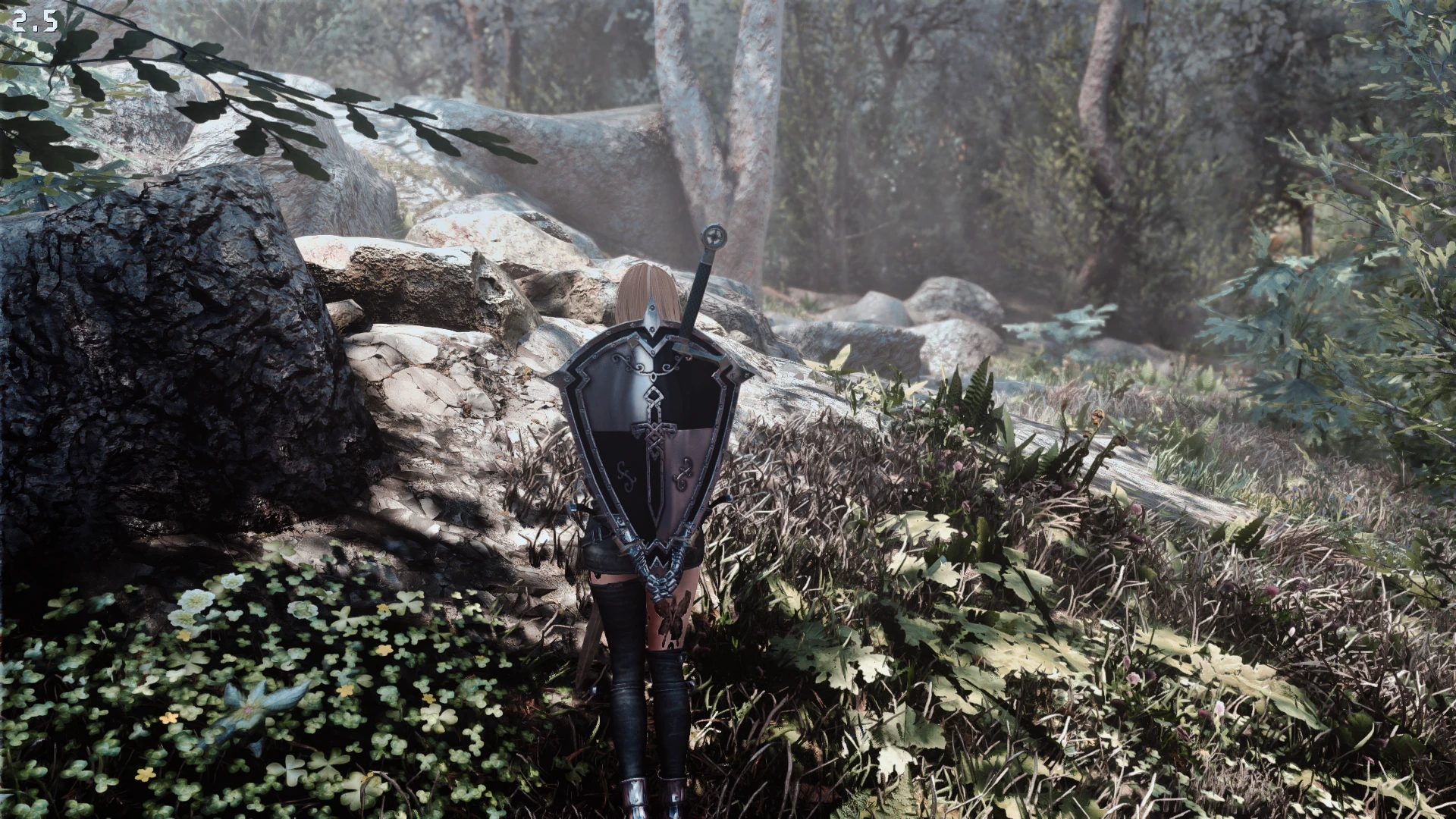 Alone In The Woods Bjorn Enb At Skyrim Special Edition Nexus Mods