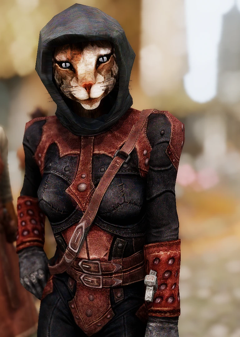 BeastHHBB Feminine Female Khajiits Update At Skyrim Special Edition Nexus Mods And Community