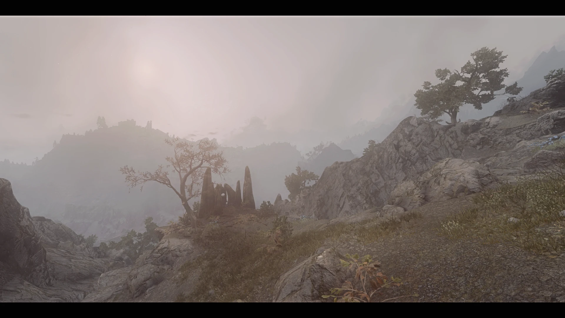 Foggy Reach Morning At Skyrim Special Edition Nexus Mods And Community