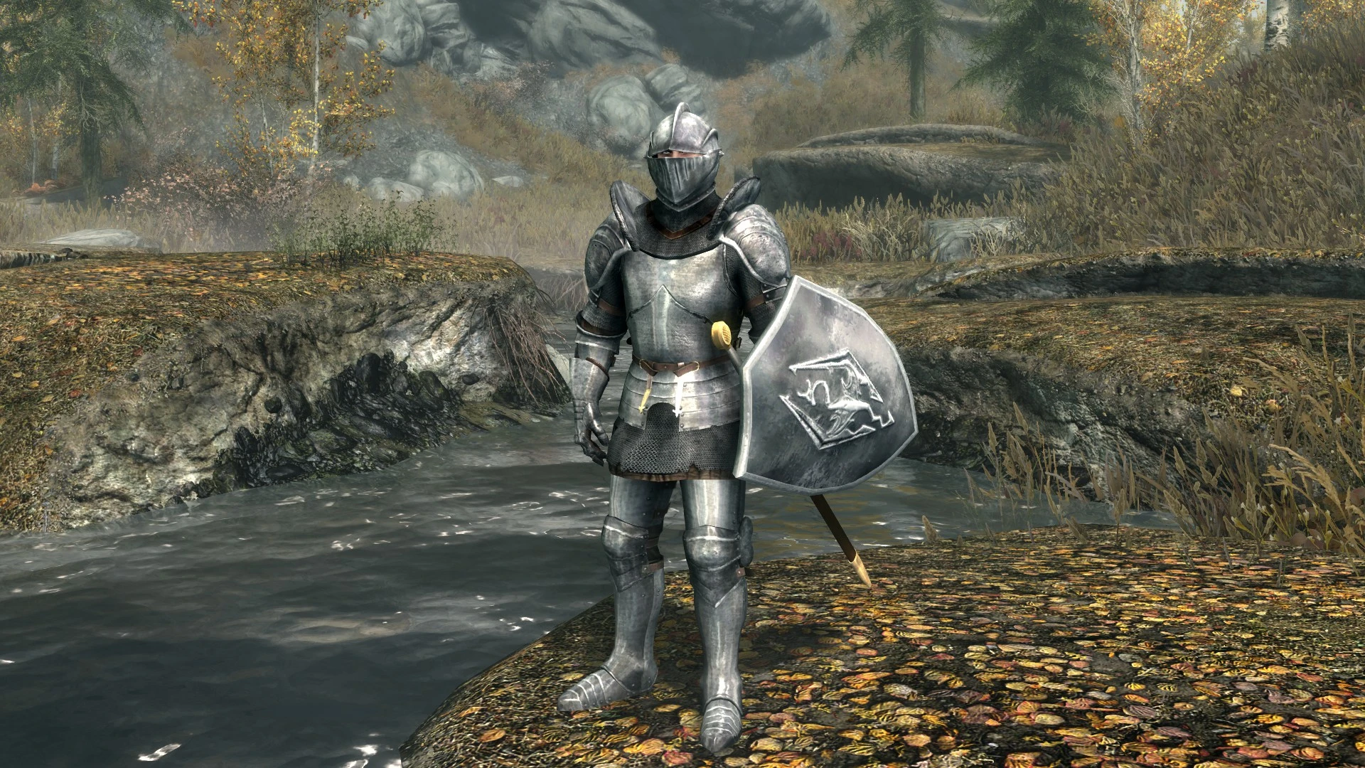 Armored knight iris photo