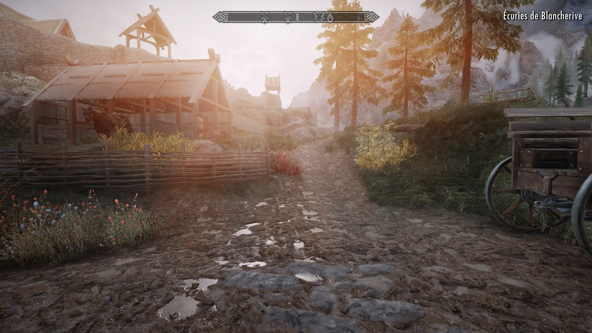 Pfuscher Graphics Is Insane At Skyrim Special Edition Nexus Mods And