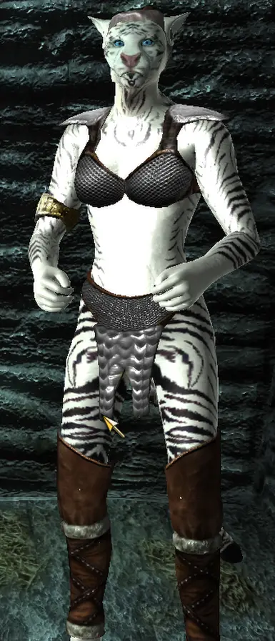 Skyrim Khajiit At Oblivion Nexus Mods And Community