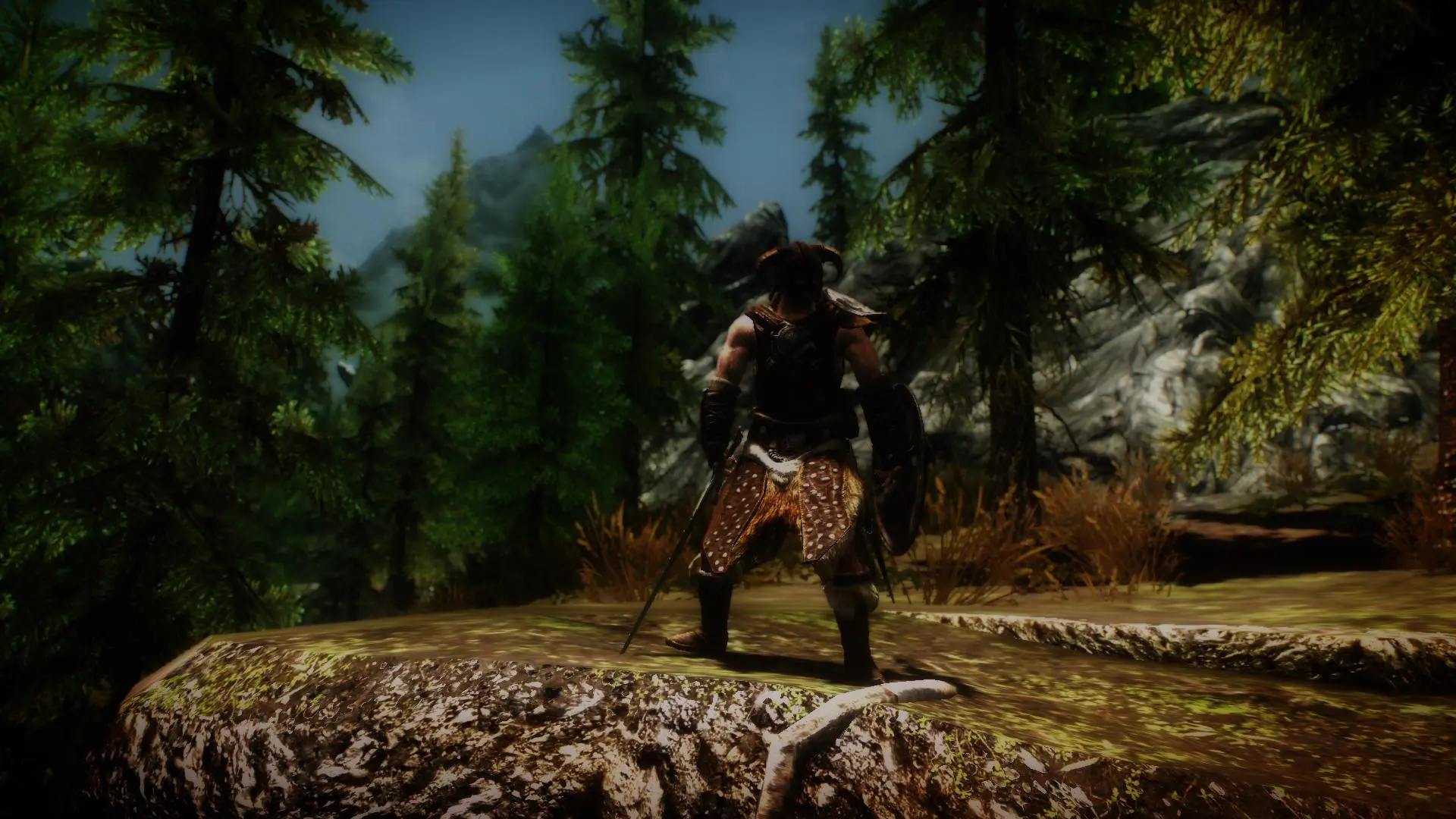 Heroic Idle Animation At Skyrim Nexus Mods And Community