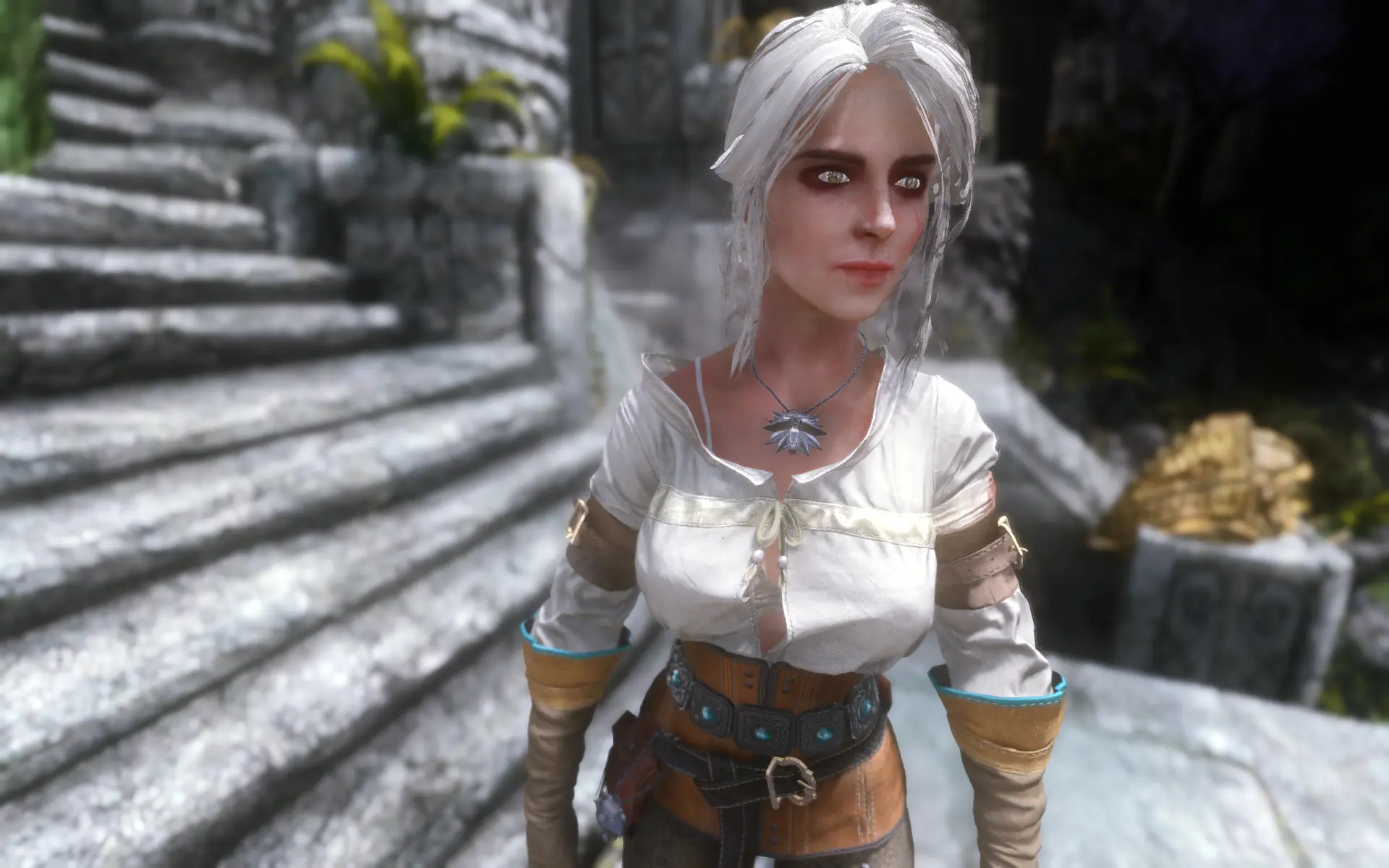 Ciri Witcher Armor Hd Retexture At Skyrim Nexus Mods And Community