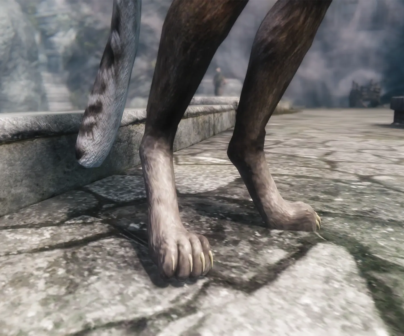 Khajiit Overhaul At Skyrim Nexus Mods And Community