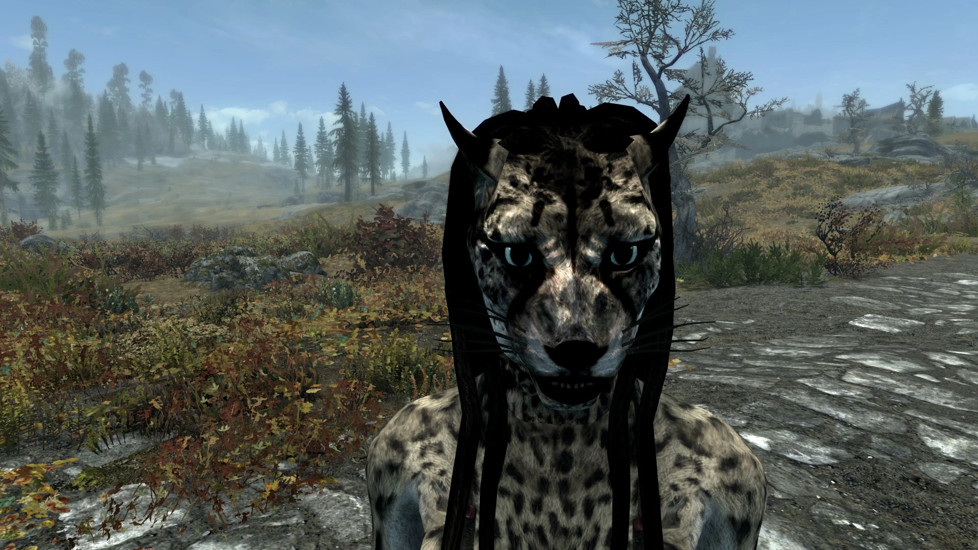 Khajiit Leopard Head Texture At Skyrim Nexus Mods And Community