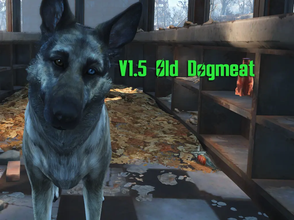 old dogmeat