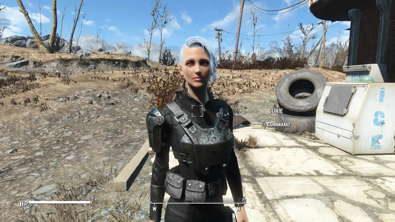 Sexy Curie 2 Variations At Fallout 4 Nexus Mods And Community