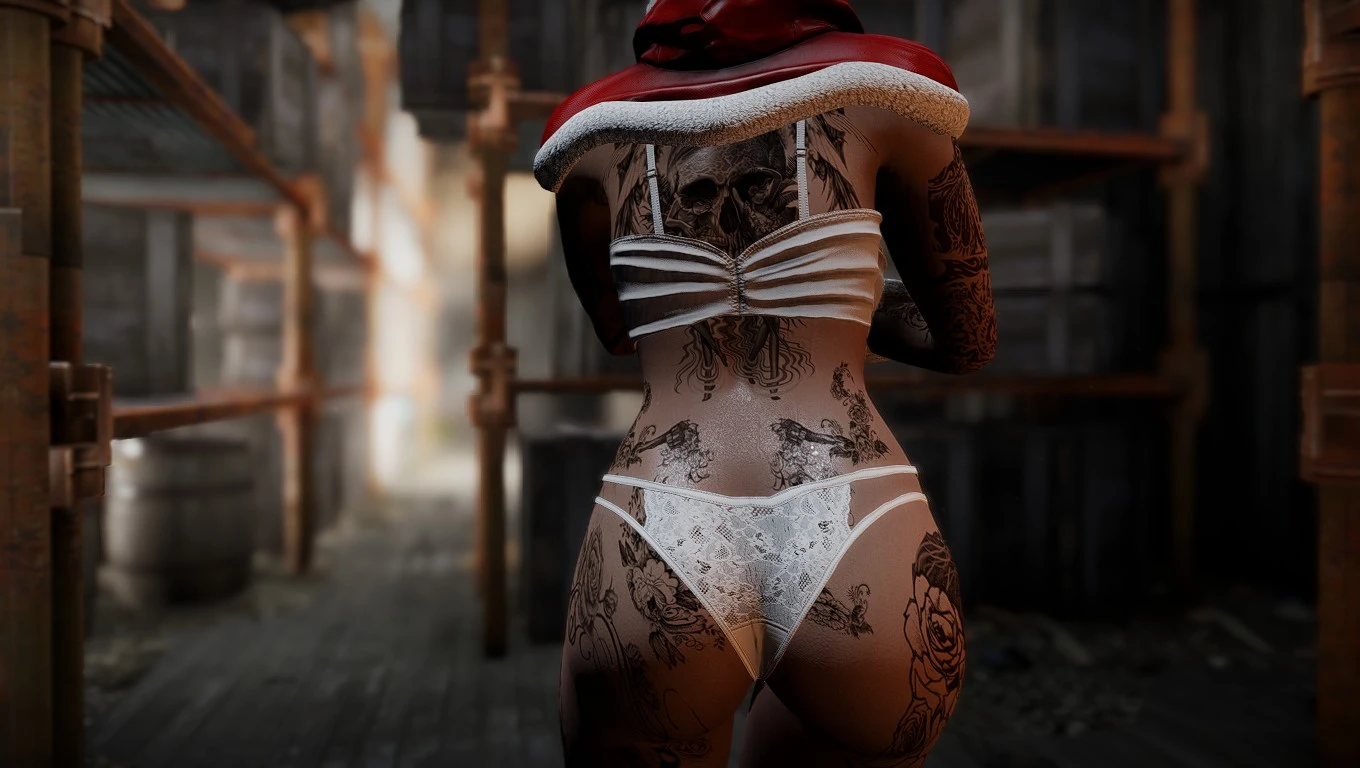 Vtaw 2023 Xmas CBBE BodySlide At Fallout 4 Nexus Mods And Community