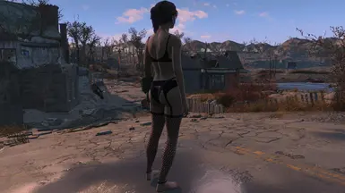 Lovely Lady Lingerie At Fallout Nexus Mods And Community