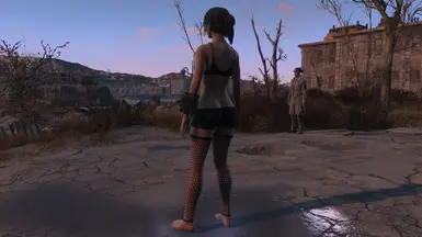 Lovely Lady Lingerie At Fallout 4 Nexus Mods And Community