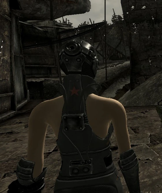 Type Chinese Stealth Suit Bare Shoulders No Helmet At Fallout