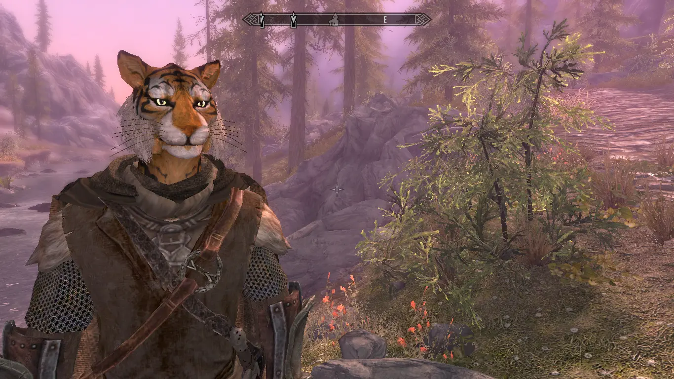 Ravi Tiger Like Male Khajiit Preset At Skyrim Special Edition Nexus