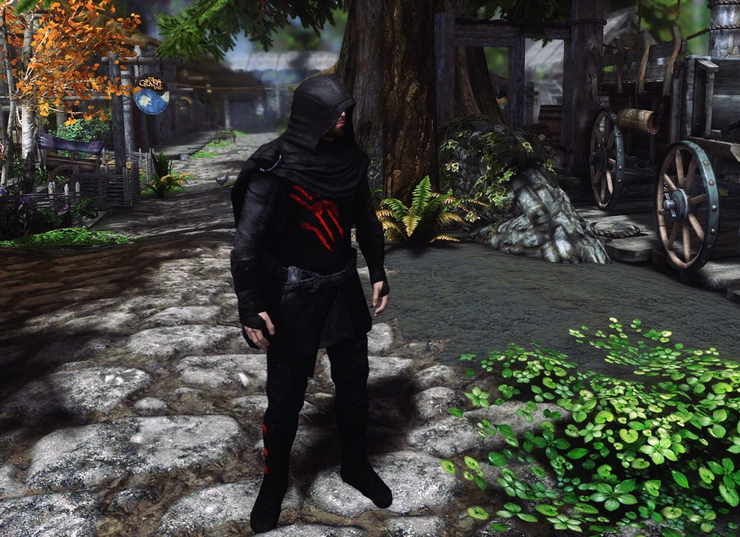 Archet S Dark Brotherhood Shrouded Armor And Robe At Skyrim Special