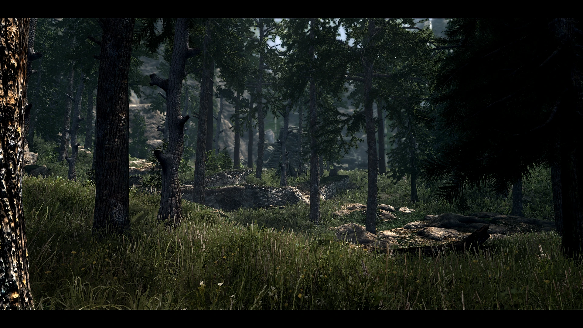 fantasyforest,fantasyfactory a fantasy forest overhaul for skyrim 3d trees