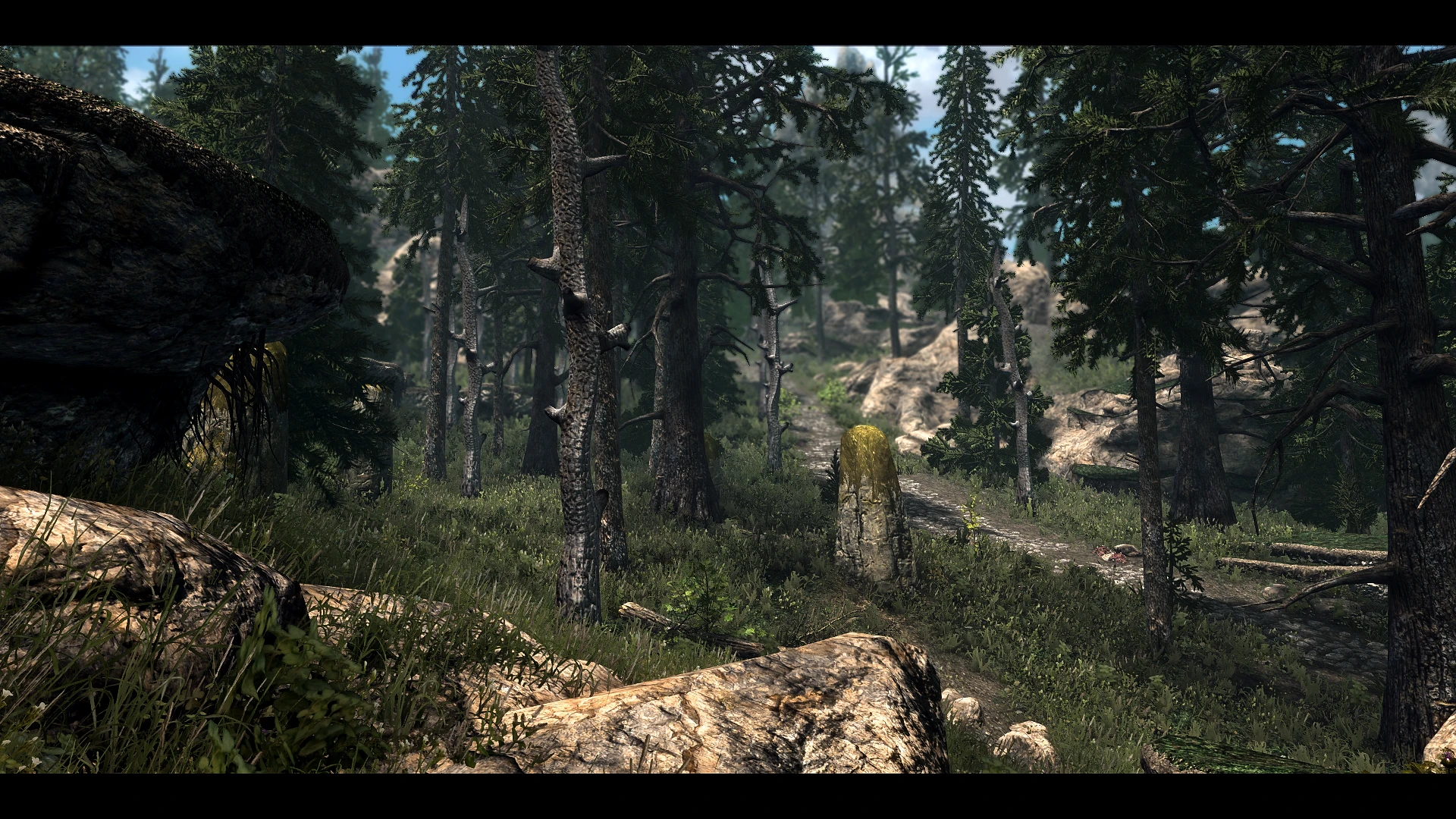fantasyforest,fantasyfactory a fantasy forest overhaul for skyrim 3d trees