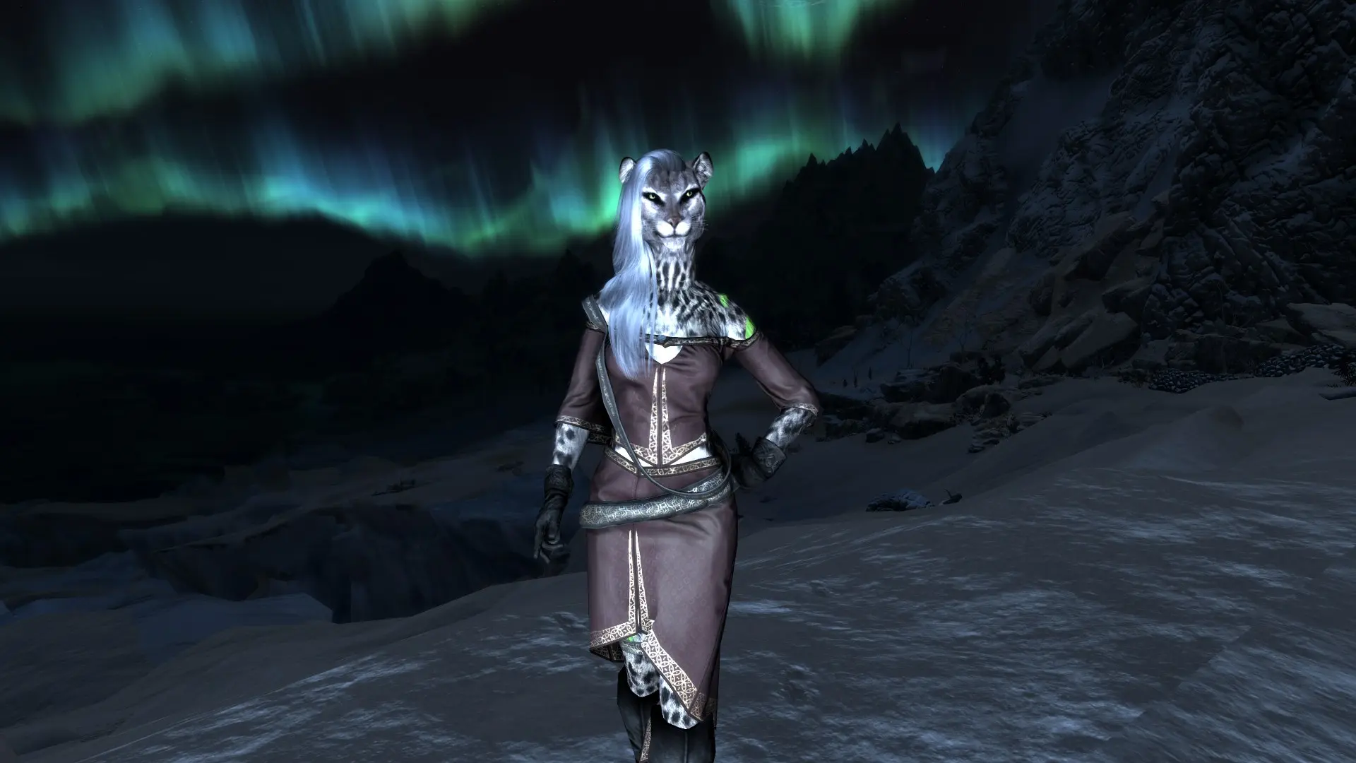 Aurora The Spellcaster A Snow Leopard Follower Unp Cbbe Esp Fe At