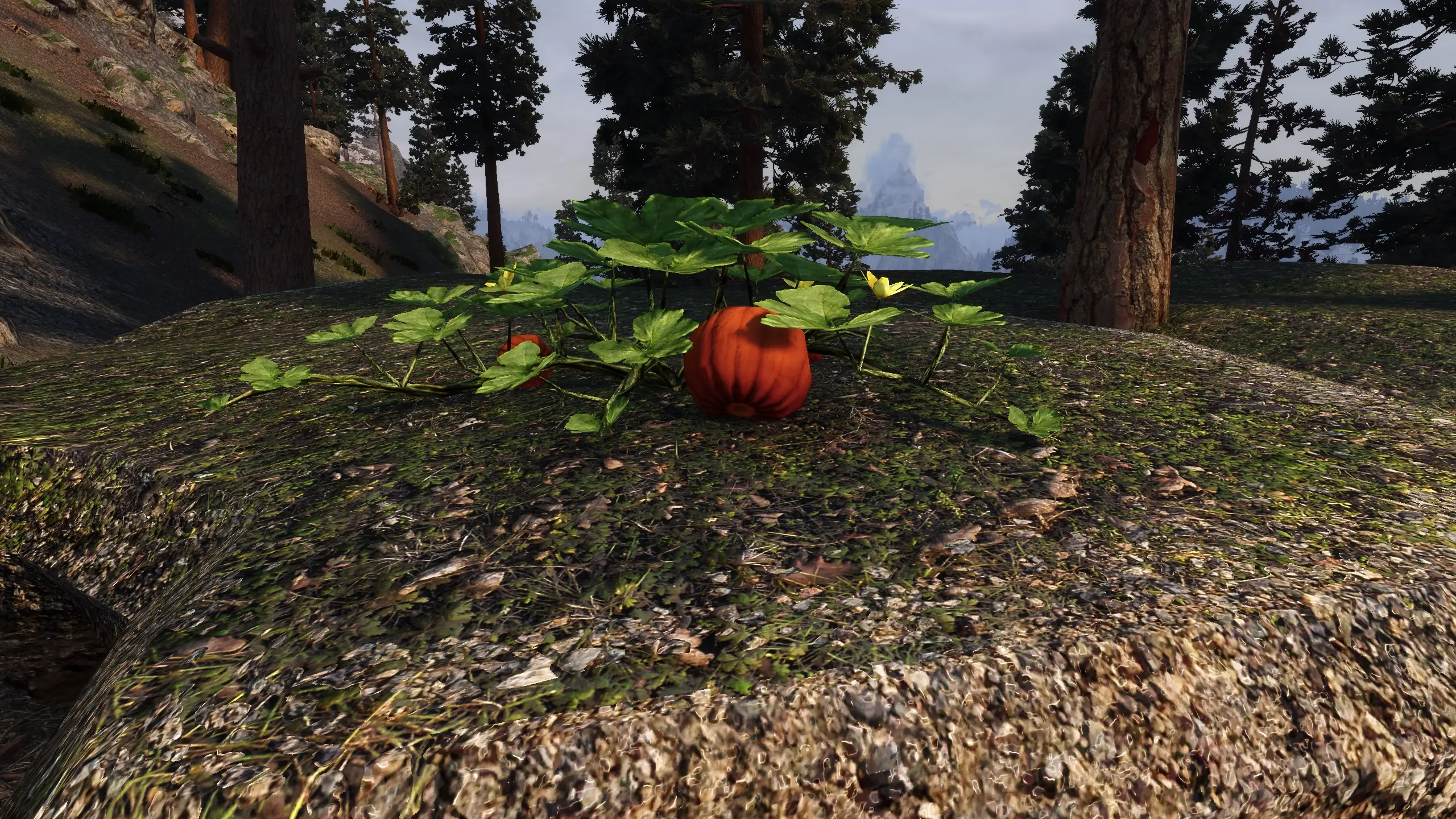 CACO Farm Overhaul Pumpkins For Official Unique Flowers And Plants