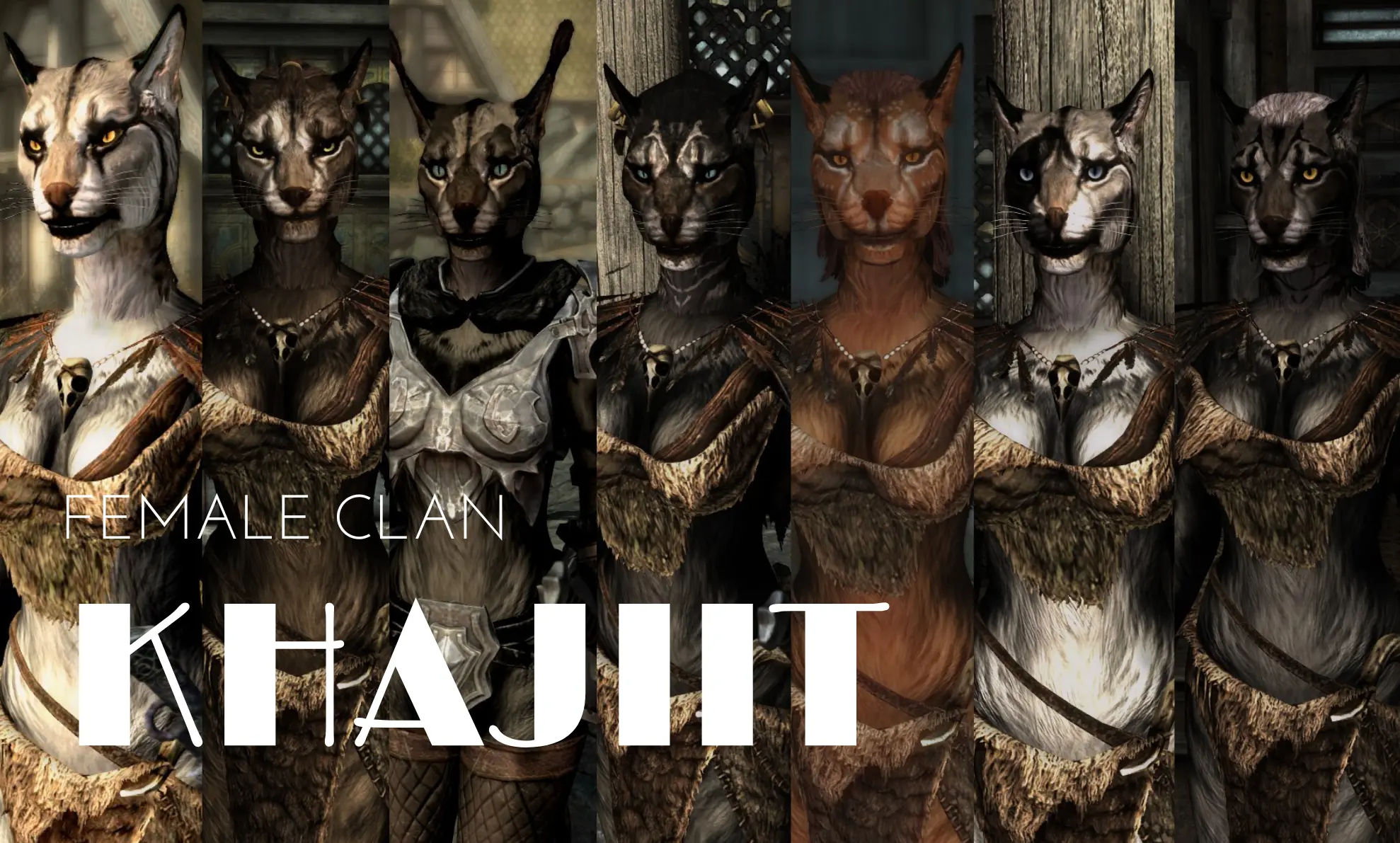 Female Khajiit Clan Standalone Followers At Skyrim Special Edition Nexus Mods And Community