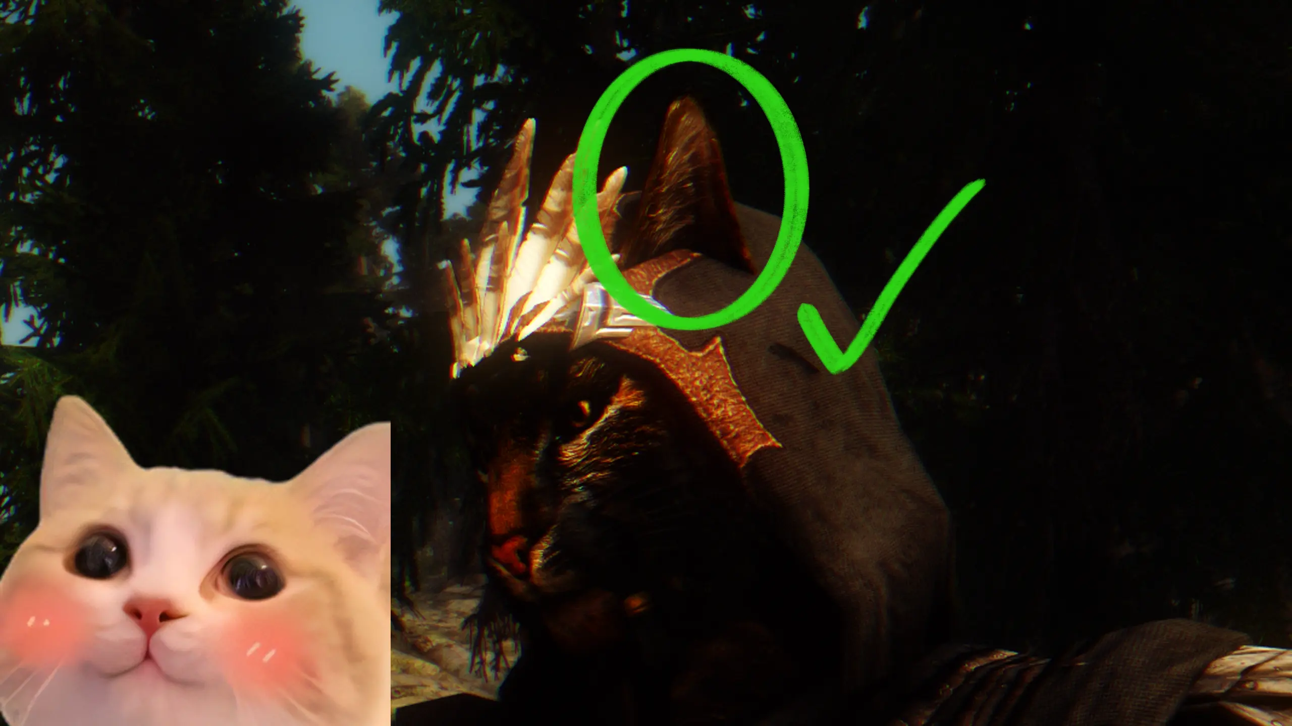 Khajiit Have Ears Immersive Armors At Skyrim Special Edition Nexus