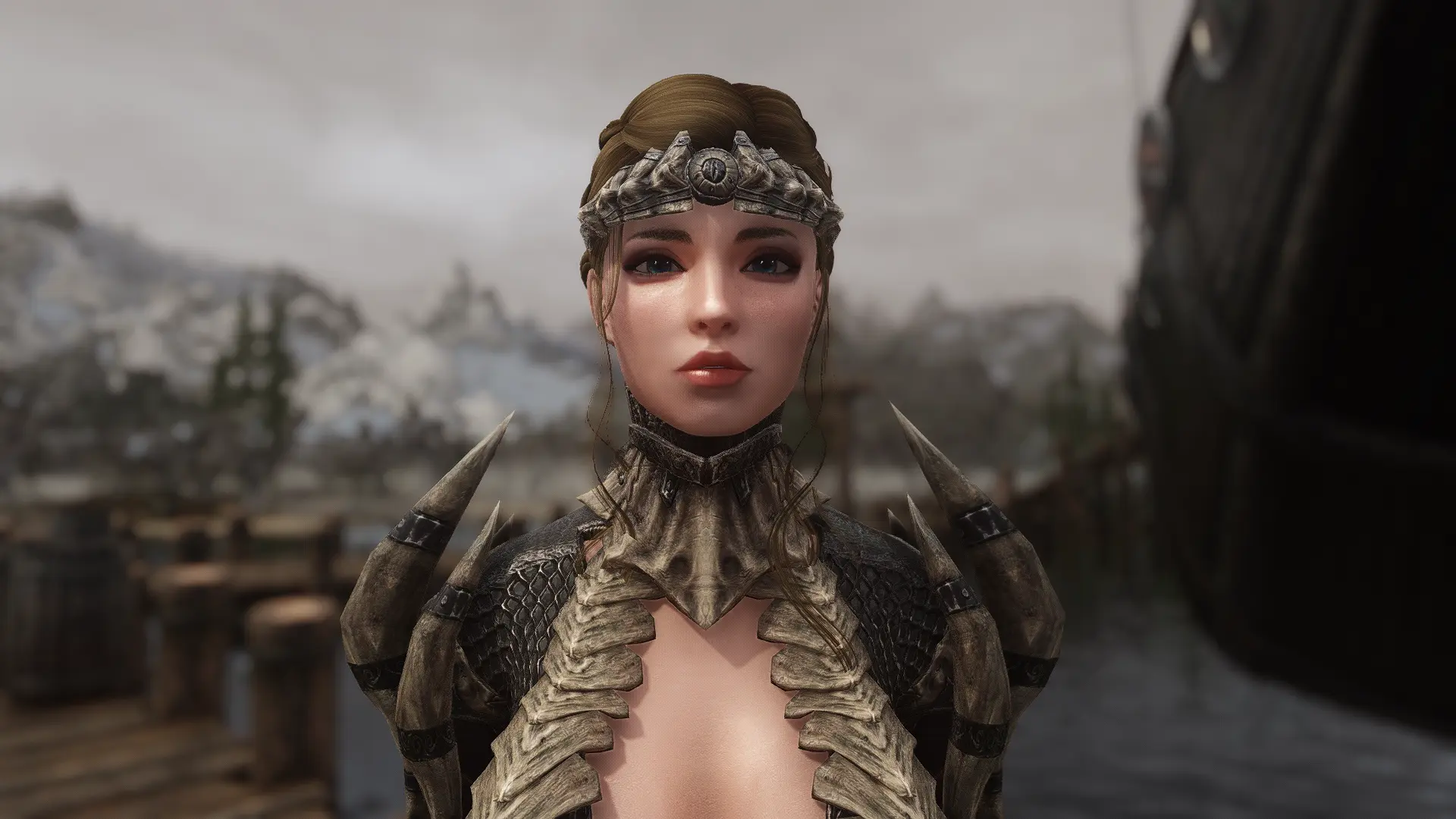 Vanilla Armor Replacer PATCH HUB At Skyrim Special Edition Nexus Mods