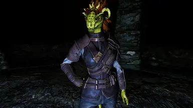 Lore Friendly Argonian Characters High Poly Head Racemenu Presets At