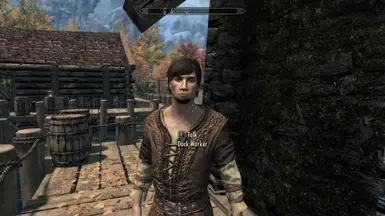 High Poly Npc S Riften Docks Overhaul Patch At Skyrim Special