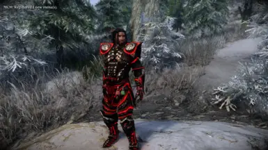 Immersive Armor HIMBO Bodyslide Conversion At Skyrim Special Edition