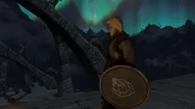 Bjorn Custom Voiced Mercenary Follower At Skyrim Special Edition