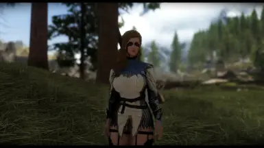 Bdor Armor Spid At Skyrim Special Edition Nexus Mods And Community