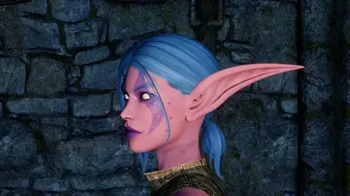 Goam S Elven Ears At Skyrim Special Edition Nexus Mods And Community