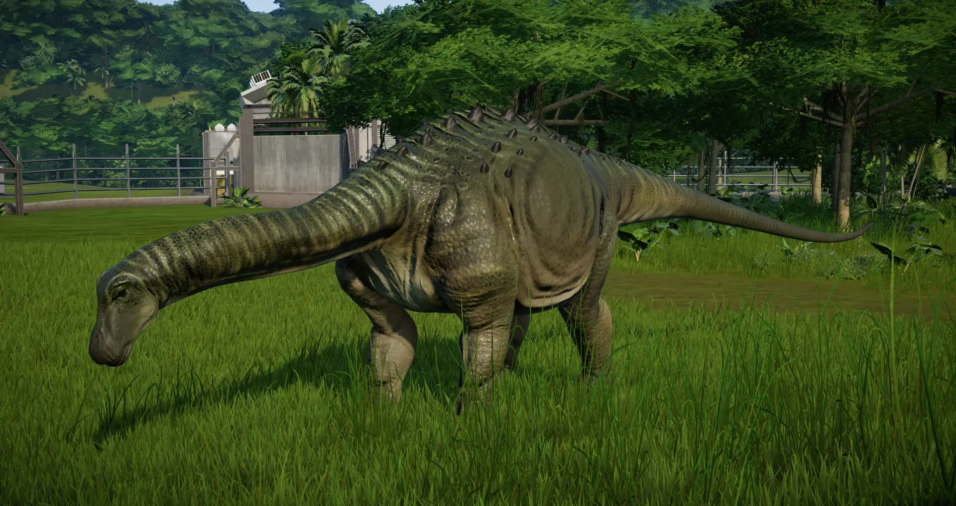 saltasaurus (new species)