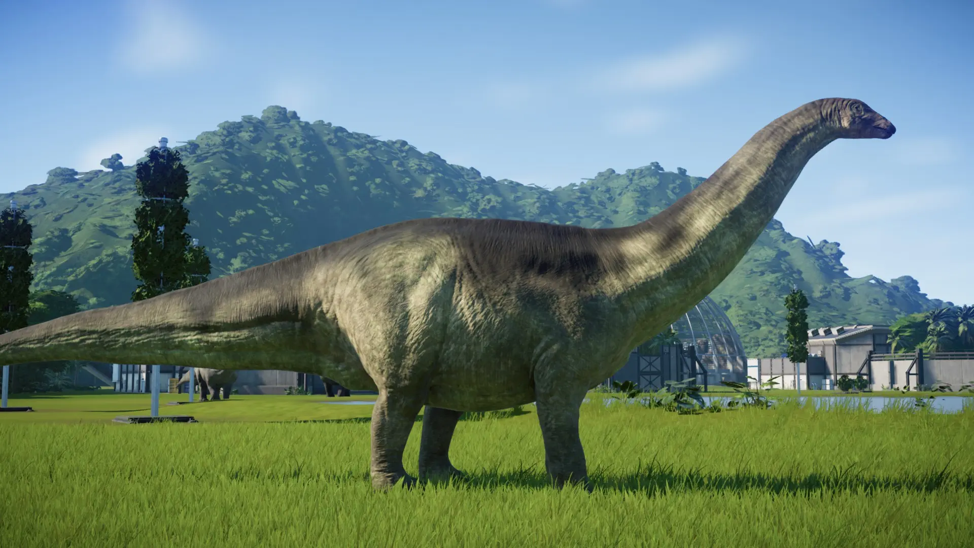 brontosaurus excelsus