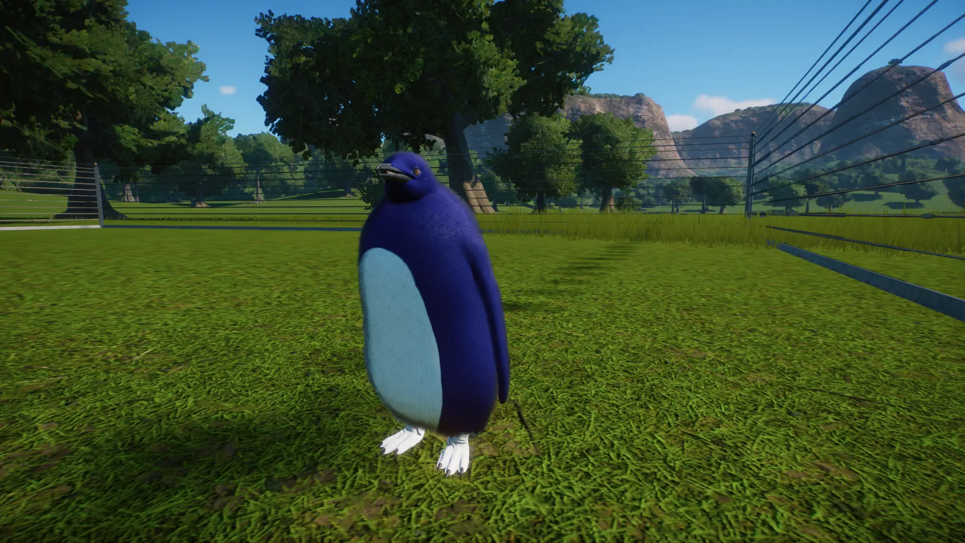 fairy blue penguin (updated for 1.4)