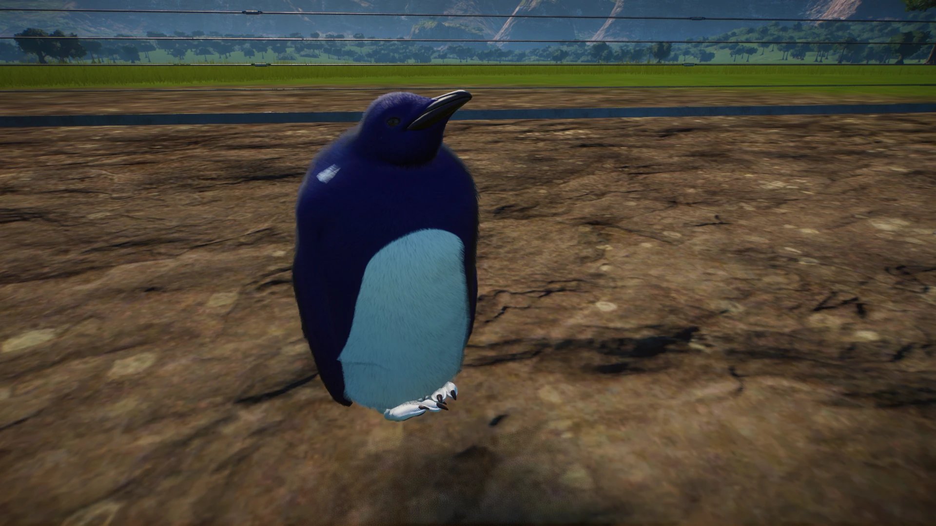 fairy blue penguin (updated for 1.4)