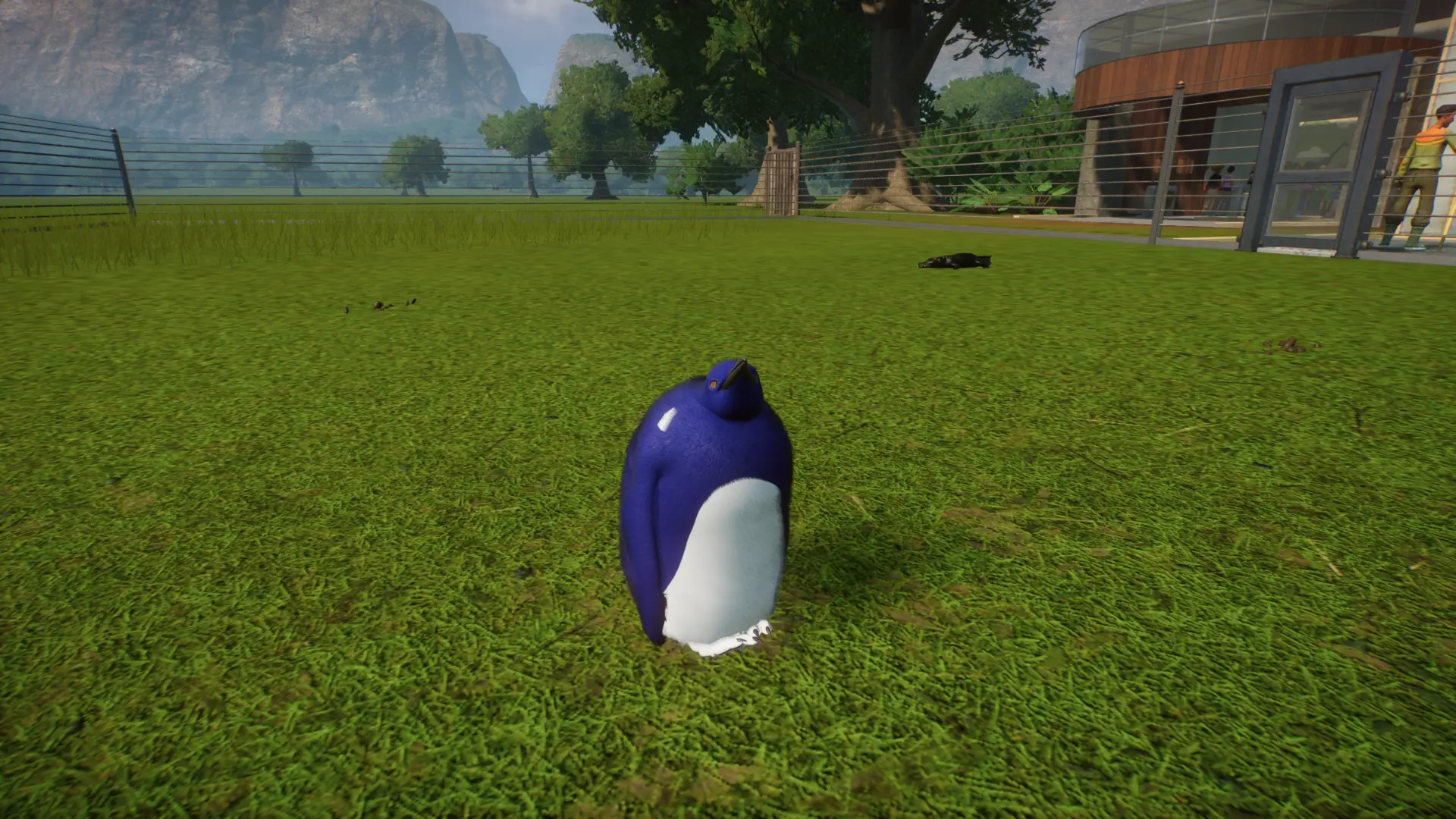 fairy blue penguin (updated for 1.4)