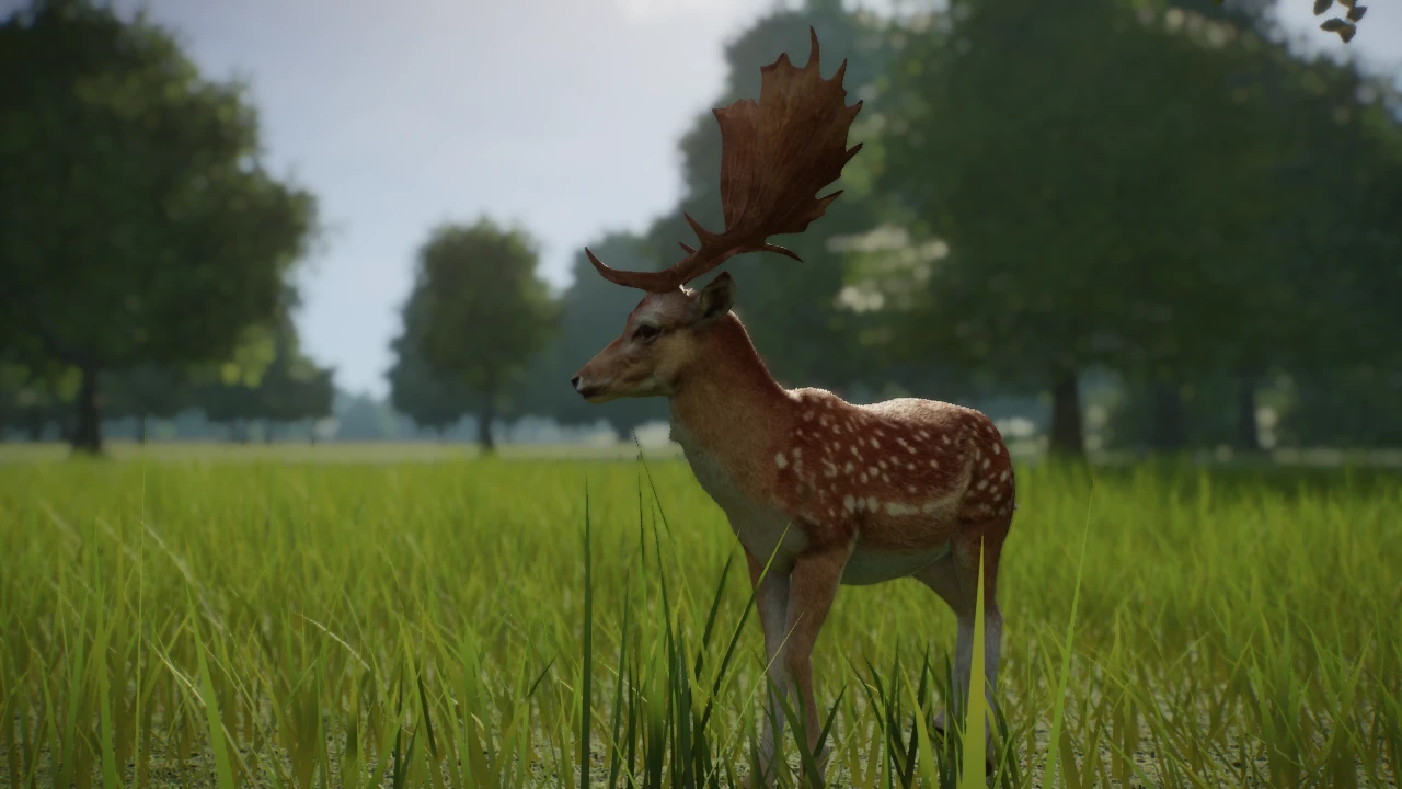 6) new species - fallow deer (narwhaler update