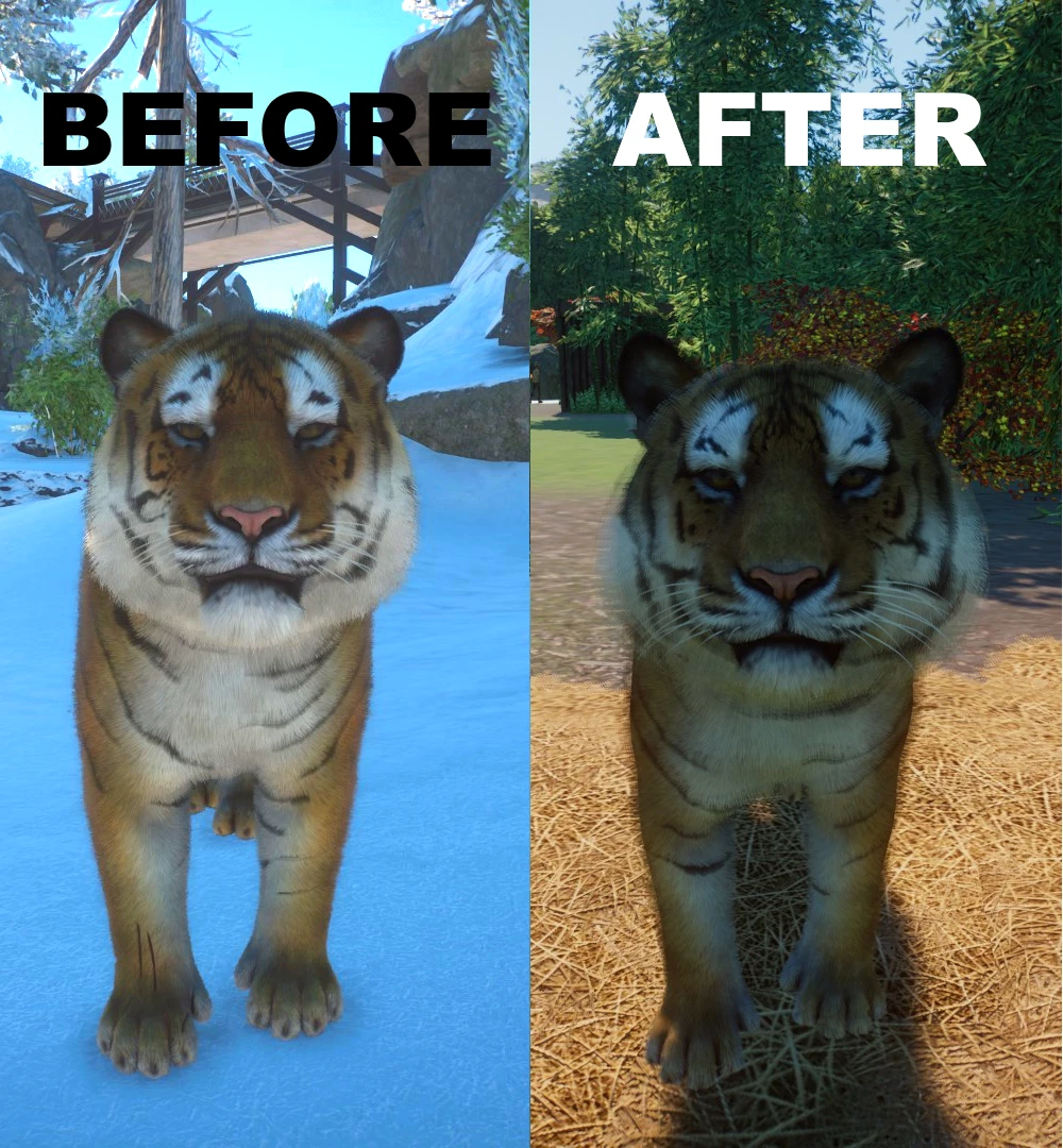 siberian tiger remaster