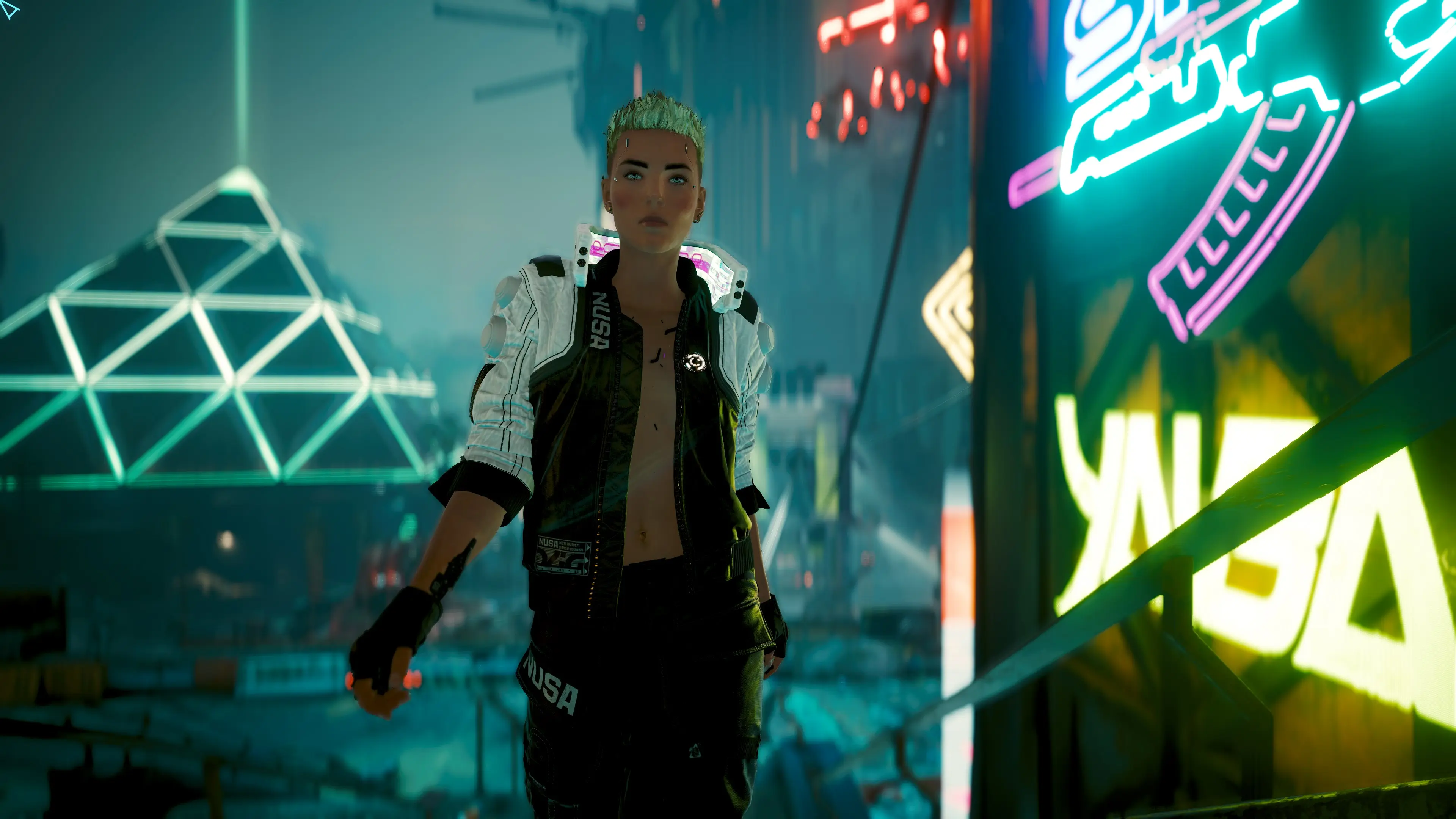 NUSA Infiltrator Jacket No Undershirt At Cyberpunk 2077 Nexus Mods