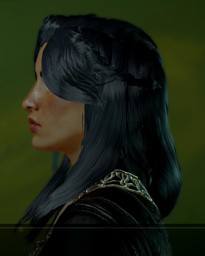 Loose Braided Hair At Dragon Age Inquisition Nexus Mods And Community