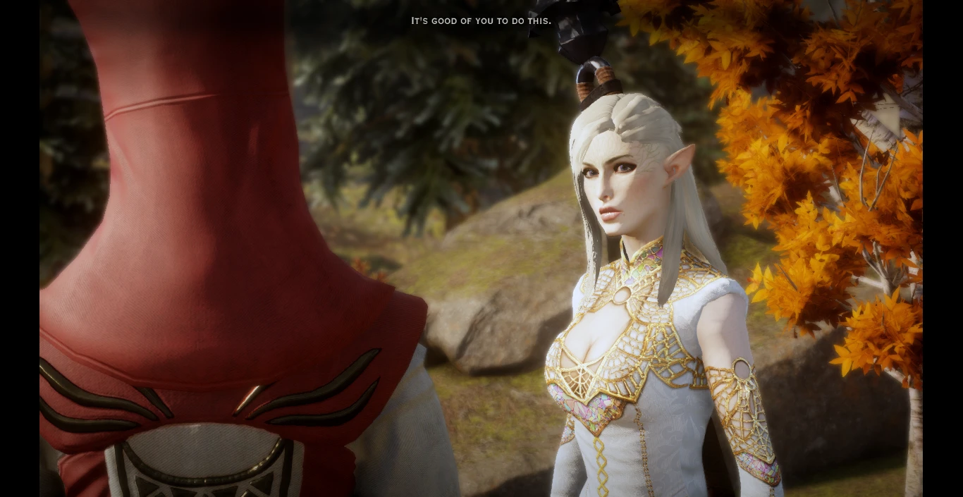 Sliders For Female Elf At Dragon Age Inquisition Nexus Mods And