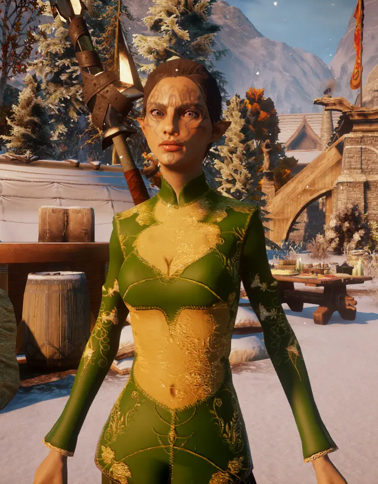 Female Elf Skyhold Outfit At Dragon Age Inquisition Nexus Mods And Community