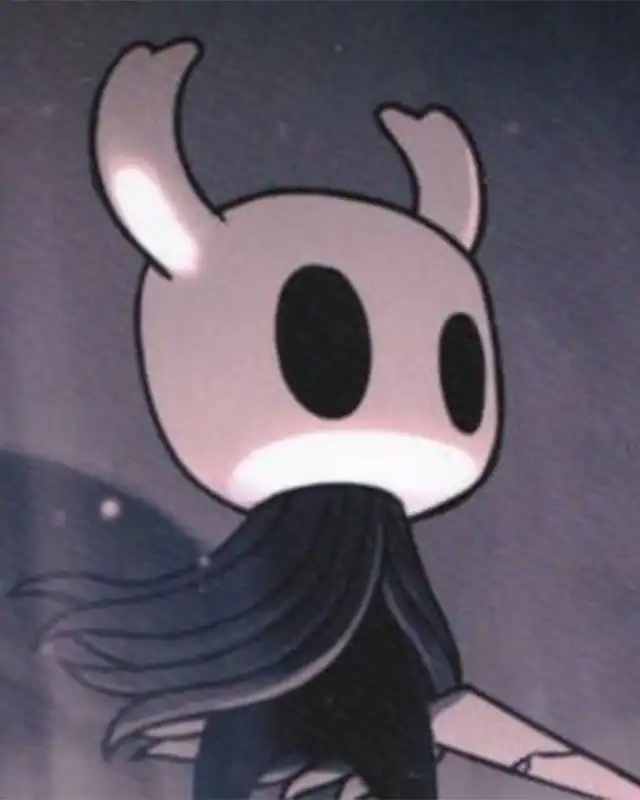 I downloaded a DLC for Hollow Knight but I can't install it with