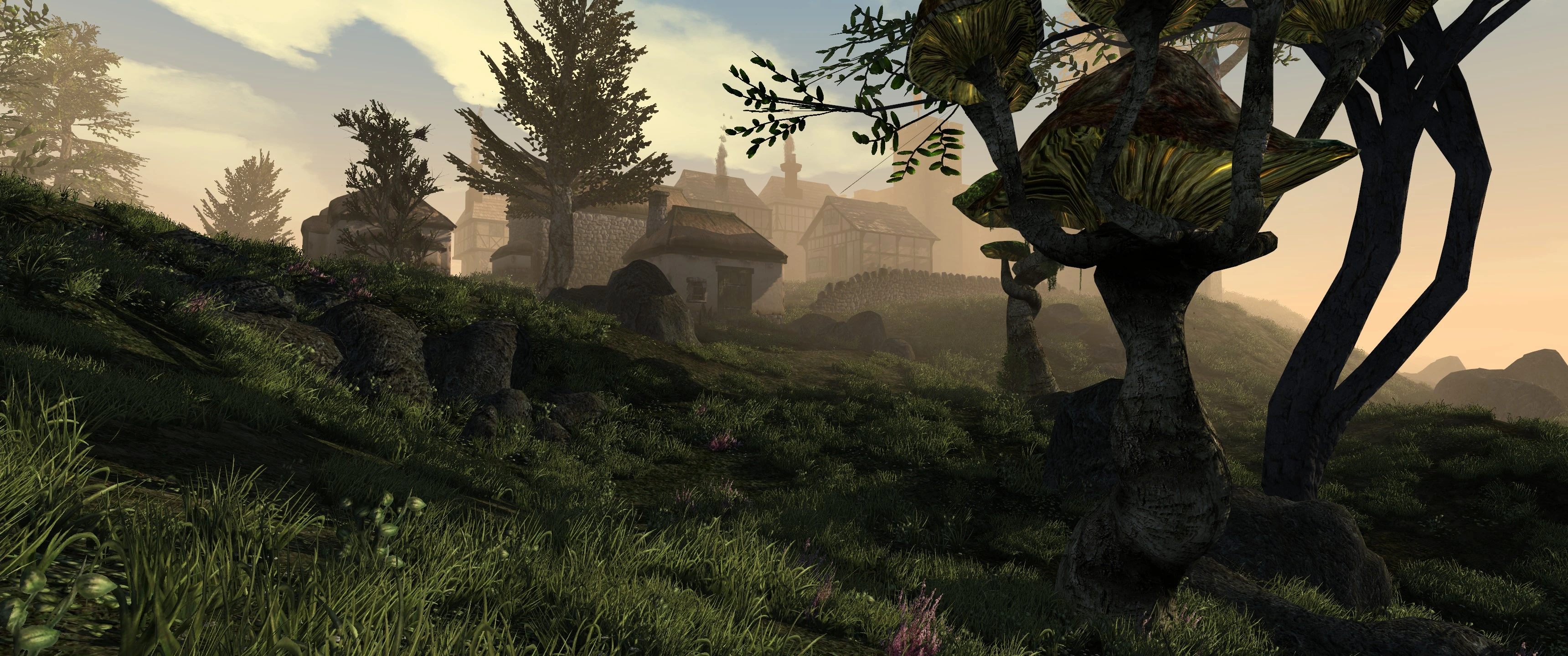 Morrowind graphics extender steam фото 36